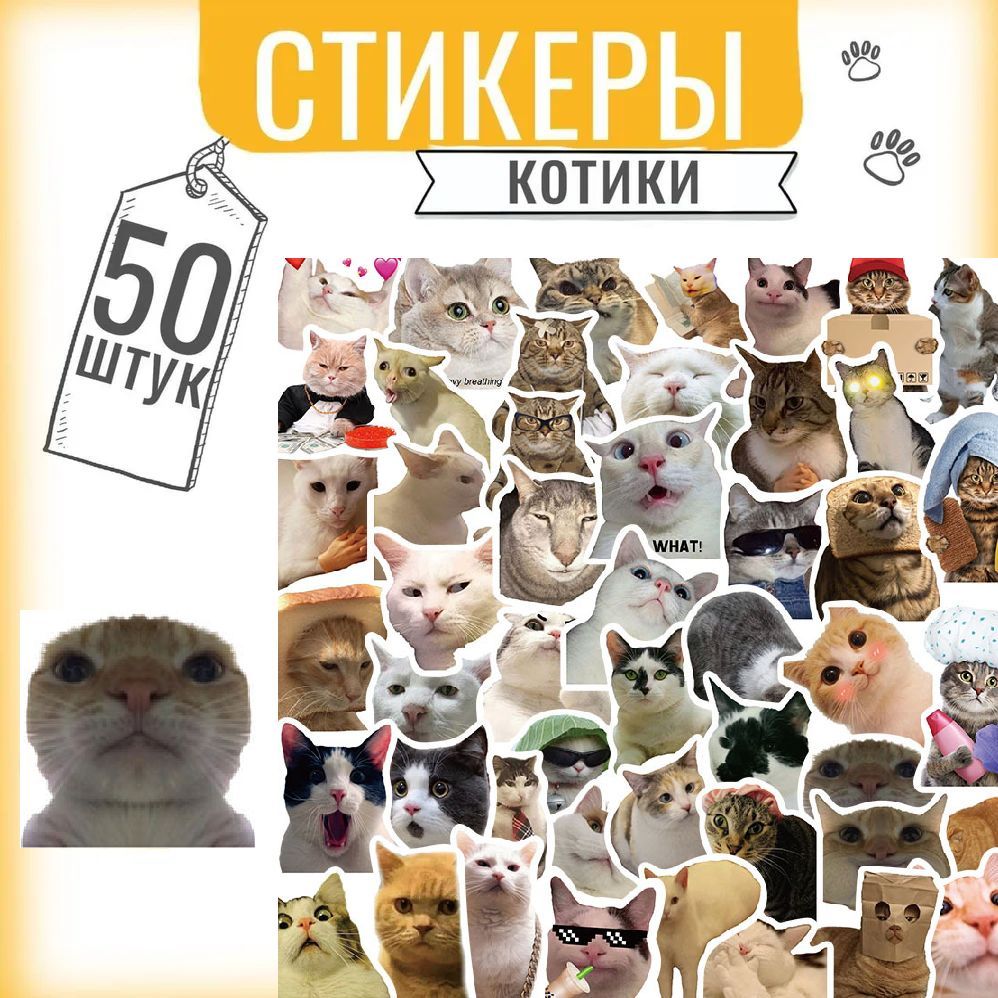 Наклейки стикеры МЕМНЫЕ КОТИКИ 50 шт. Стикеры наклейки на телефон, тетрадь, ноутбук, самокат, для ежедневника. Для декора, подарка, творчества, заметок