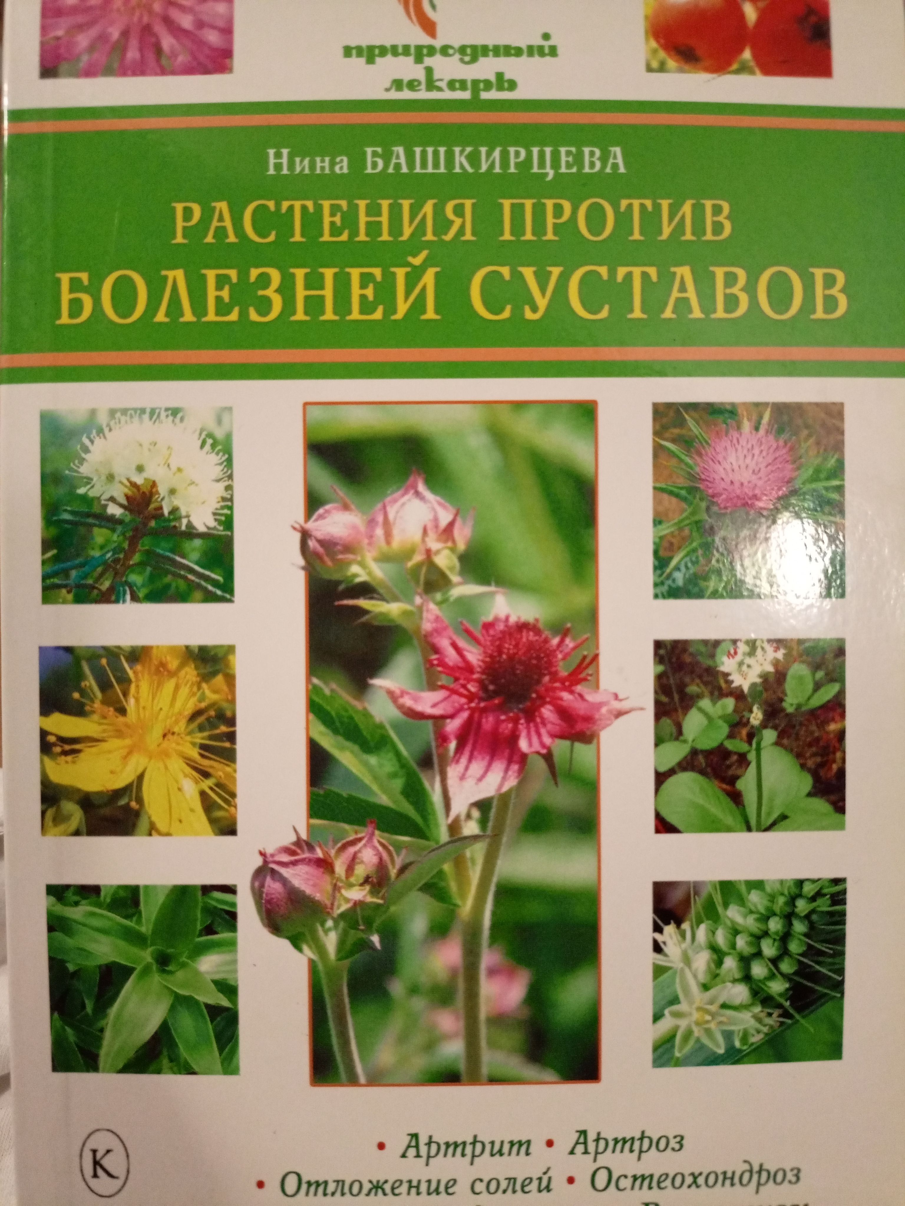 Растения против болезней суставов | Башкирцева Нина Анатольевна