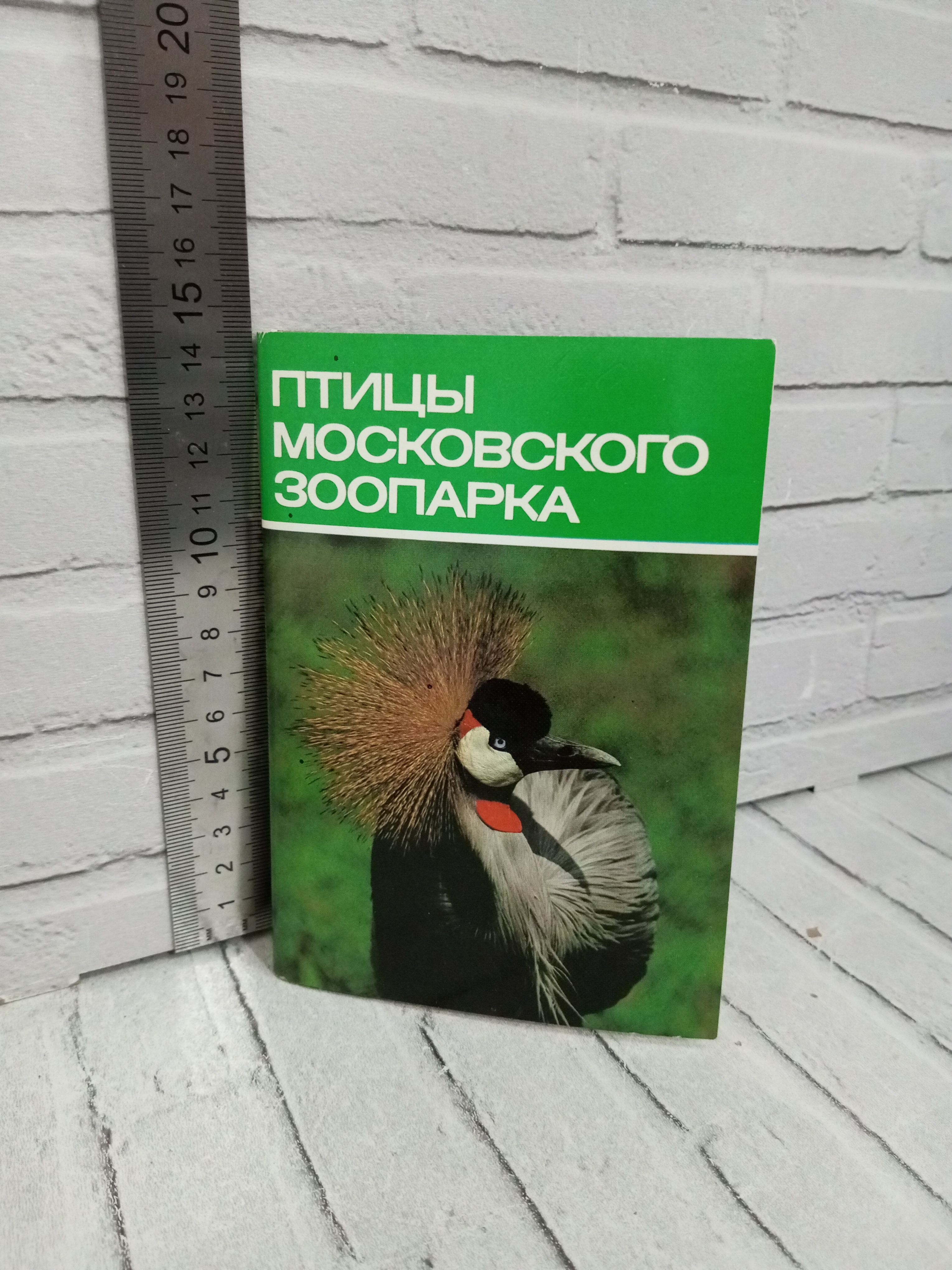 Канцелярия антикварная/винтажная Набор из 18 открыток Птицы московского зоопарка