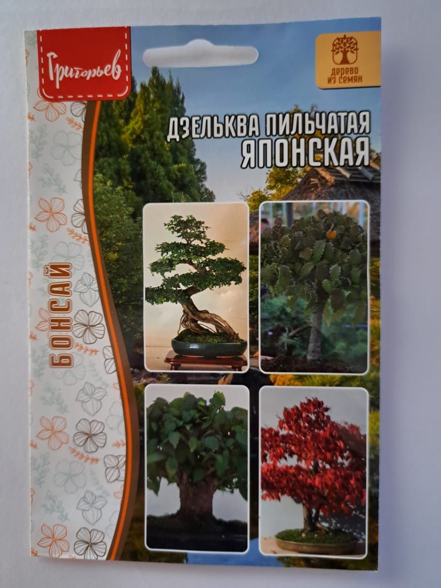 Дзельква Купить Саженцы В Москве