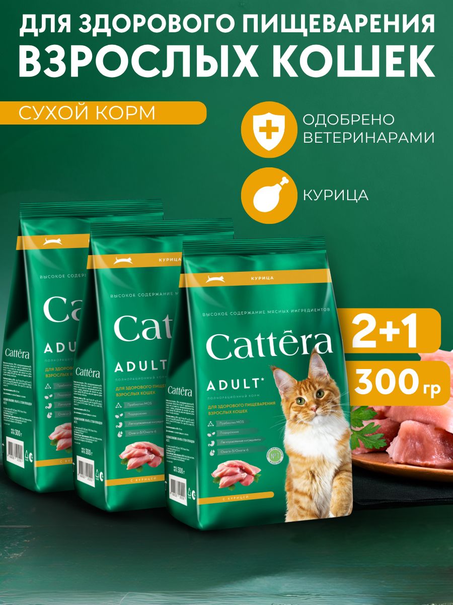 КормдлякошексухойCATTERAполнорационныйдляздоровогопищеварениявзрослыхкошекскурицей,300гр,3шт