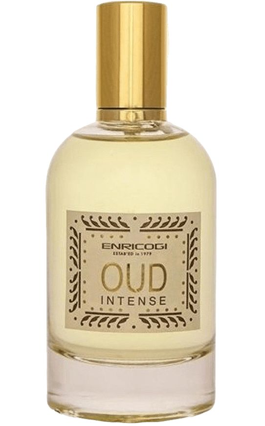 ENRICO GI OUD INTENSE Парфюмерная вода унисекс 100 мл Enrico Gi
