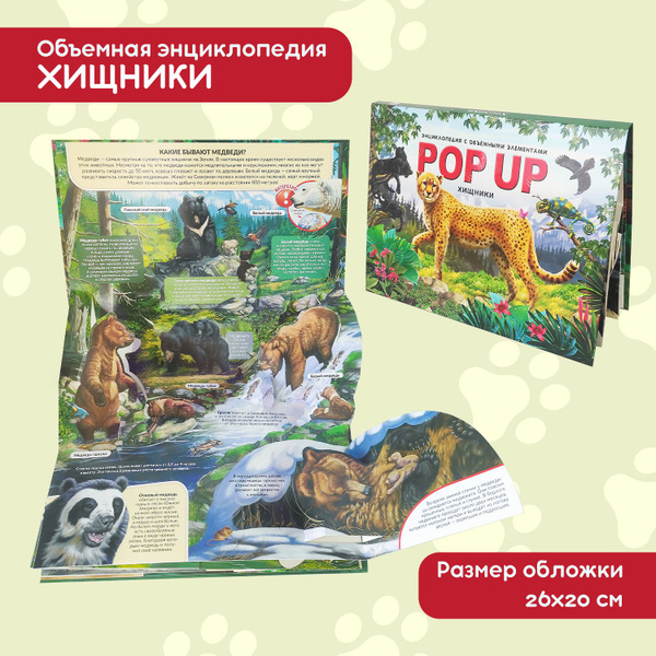 Детская энциклопедия с объемными картинками. Энциклопедия для детей POP ...