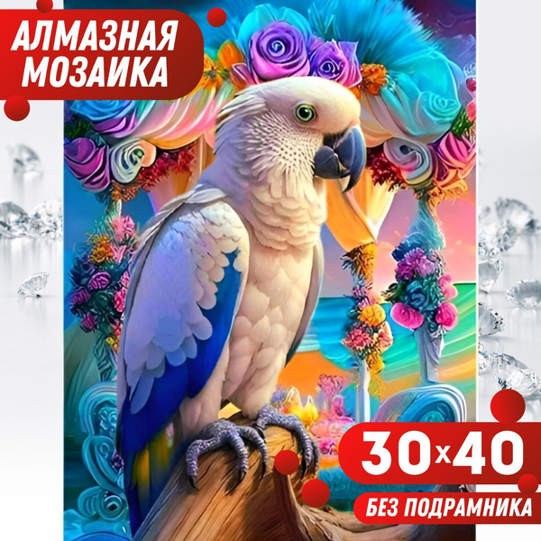 BILMANI Алмазная мозаика БЕЗ ПОДРАМНИКА полная выкладка большая 40х30 ...