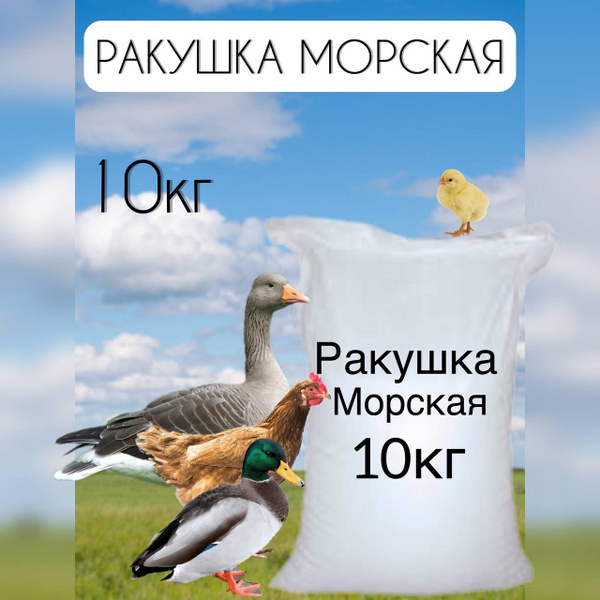 Морская ракушка для кур - купить с доставкой по выгодным ценам в ...