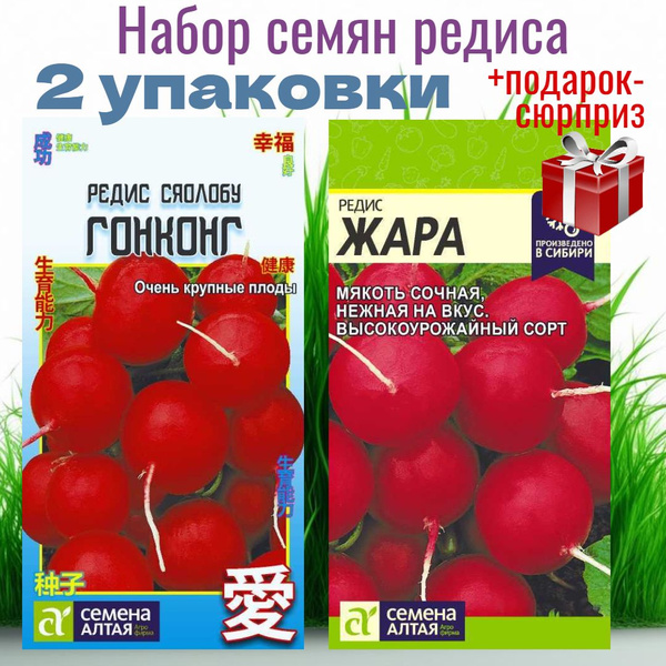 Редис Семена Алтая редис - купить по выгодным ценам в интернет-магазине ...