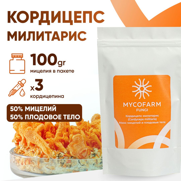 Кордицепс милитарис (Cordyceps militaris), микс мицелий и плодовые тела ...