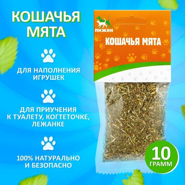 Кошачья мята "Пижон", 10 г - купить с доставкой по выгодным ценам в ...