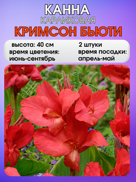 Клубни Russian Garden купить по выгодной цене в интернет-магазине OZON ...
