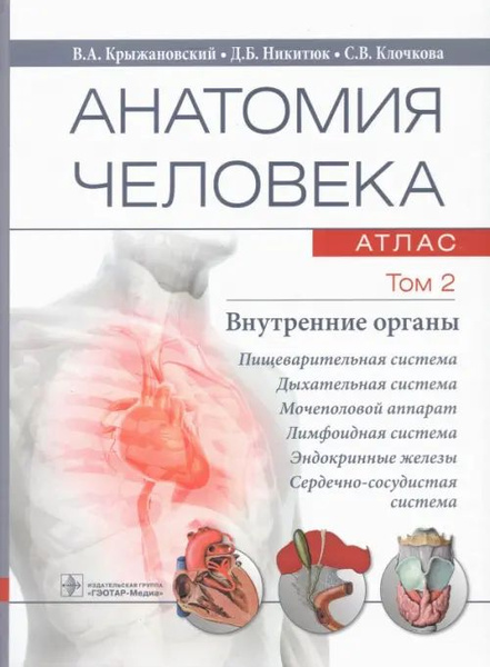 Анатомия человека. Том 2. Внутренние органы. Атлас - купить с доставкой ...