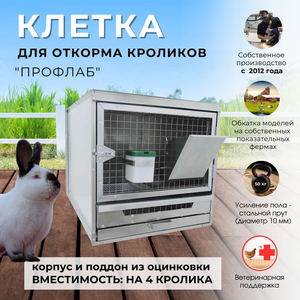 Клетка для кроликов "ПрофЛаб" 55 Стандарт - купить с доставкой по ...