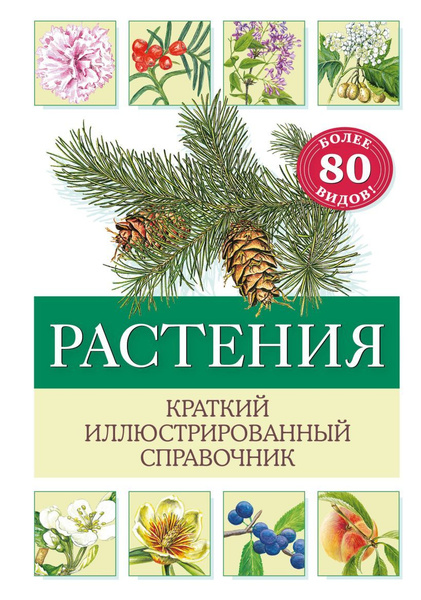 Скульптура для начинающих. Тело человека. Ильдр Б. - купить с доставкой ...