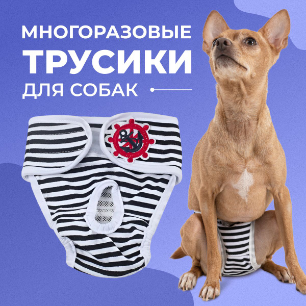 Трусы для собаки во время течки многоразовые, Черные XL Family Pet ...