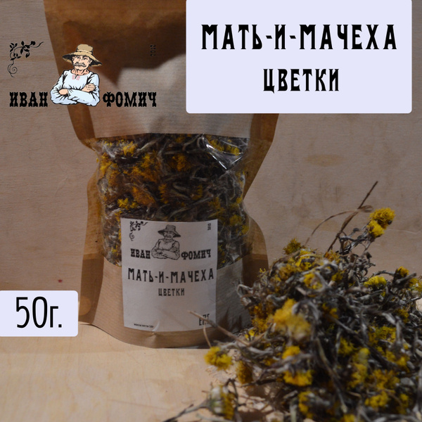 Мать-и-мачеха. Цветки - купить с доставкой по выгодным ценам в интернет ...