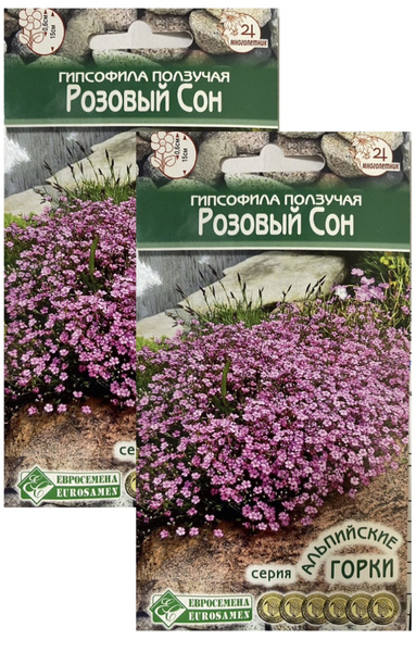 Гипсофилы многолетние, Гипсофилы однолетние Евросемена Многолетние ...