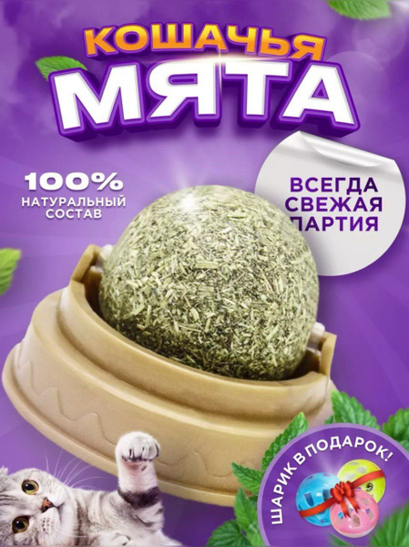 Кошачья мята шарик - купить с доставкой по выгодным ценам в интернет ...