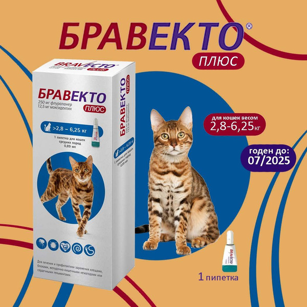 Бравекто (Bravecto) ПЛЮС капли для кошек 2,8-6,25 кг, 250 мг (09.2025 ...