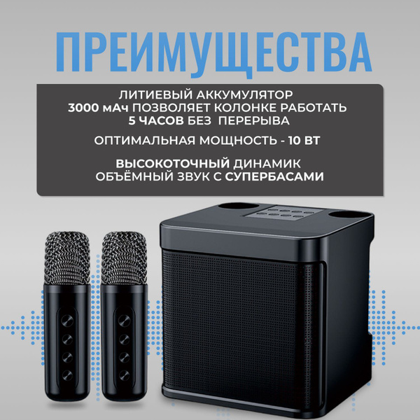 Караоке система для дома с двумя микрофонами - купить с доставкой по ...