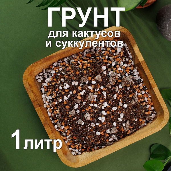 Грунт для кактусов и суккулентов с биогумусом 1 л 250гр земля для ...