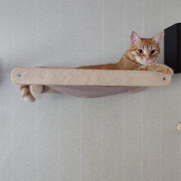 Подвесная лежанка настенная для кошки - гамак на стену для кота - полка ...
