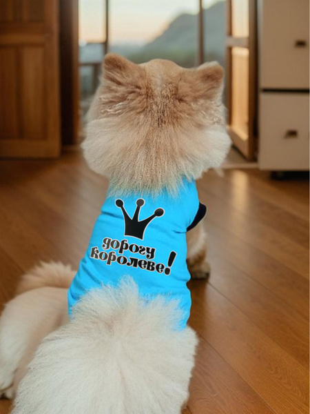 майка для кошек и собак маленькой и средней породы - купить с доставкой ...