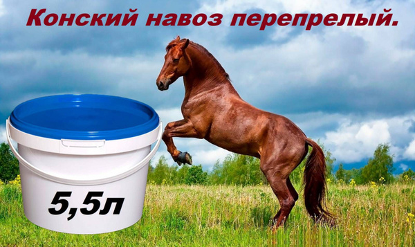 Конский навоз - купить с доставкой по выгодным ценам в интернет ...