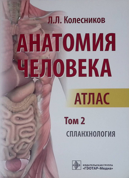 Анатомия человека. Атлас. Том 2. Спланхнология - купить с доставкой по ...