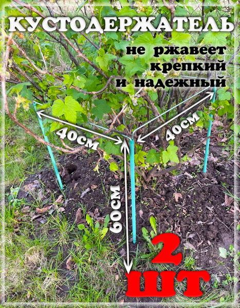 Опоры для кустов и цветов 40х40, 2шт - купить по выгодной цене в ...