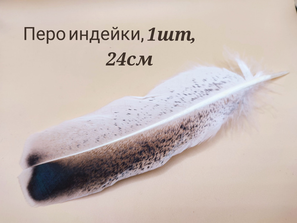 Перья индейки, глухарки, цесарки, набор 5шт - купить с доставкой по ...