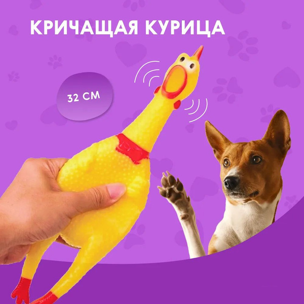 Игрушка для собак кричащая курица купить на OZON по низкой цене ...