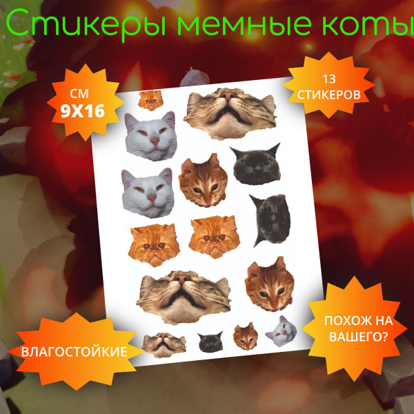 наклейки мемные коты - купить с доставкой по выгодным ценам в интернет ...