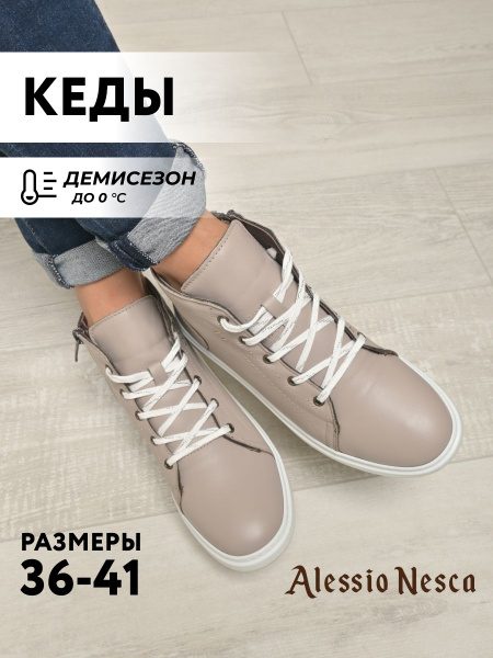Кеды Alessio Nesca купить на OZON по низкой цене (1667351130)