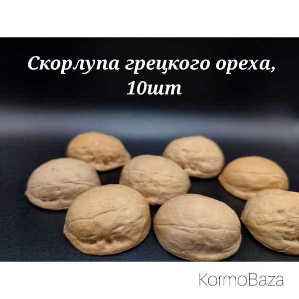 Скорлупа грецкого ореха (светлая), 10шт - купить с доставкой по ...