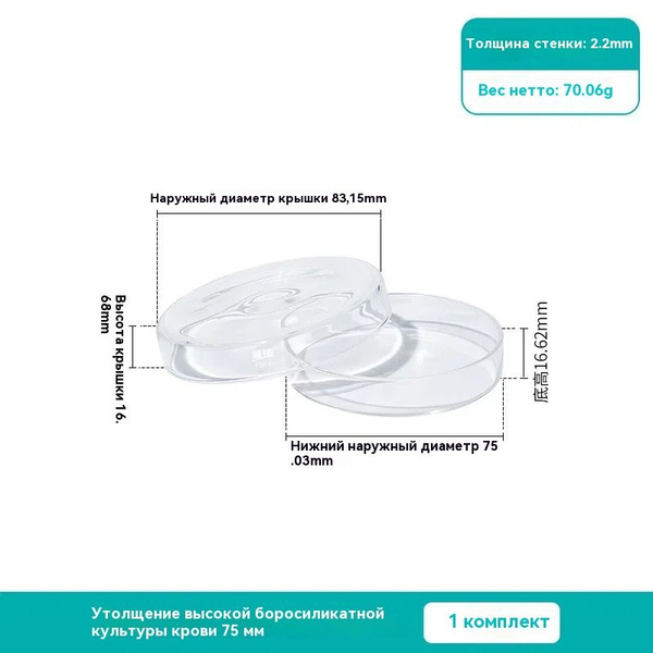 Чашка Петри стеклянная 75 мм купить на OZON по низкой цене (1716367959)