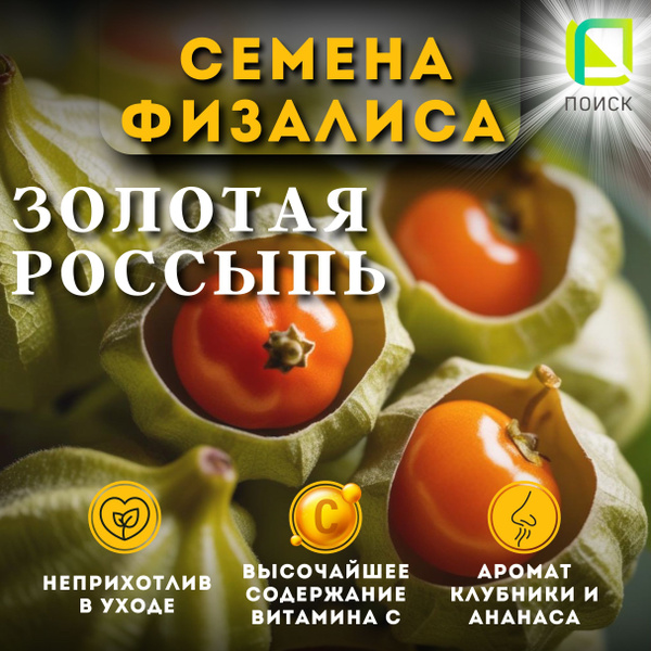 Физалис ПОИСК Агрохолдинг fizalis - купить по выгодным ценам в интернет ...