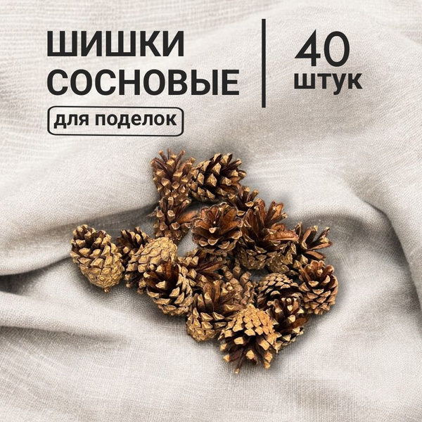 Шишки сосновые для поделок, декора и творчества купить на OZON по ...