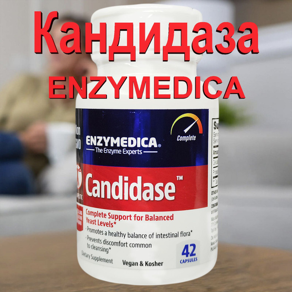 Enzymedica CANDIDASE КАНДИДАЗА 4 2 кaпсулы премиум купить на OZON по ...