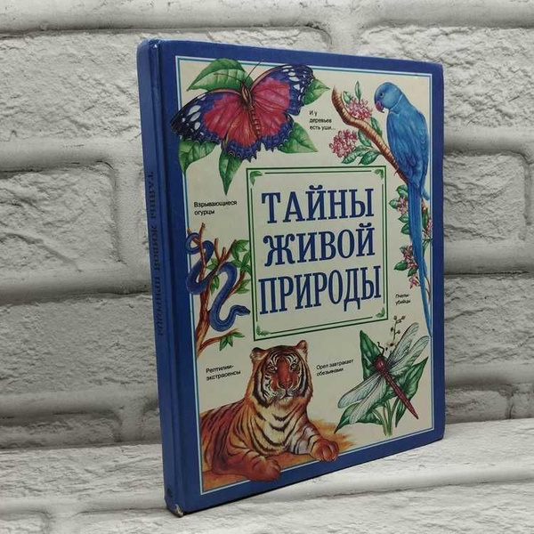 Тайны живой природы | Коллектив авторов купить на OZON по низкой цене ...