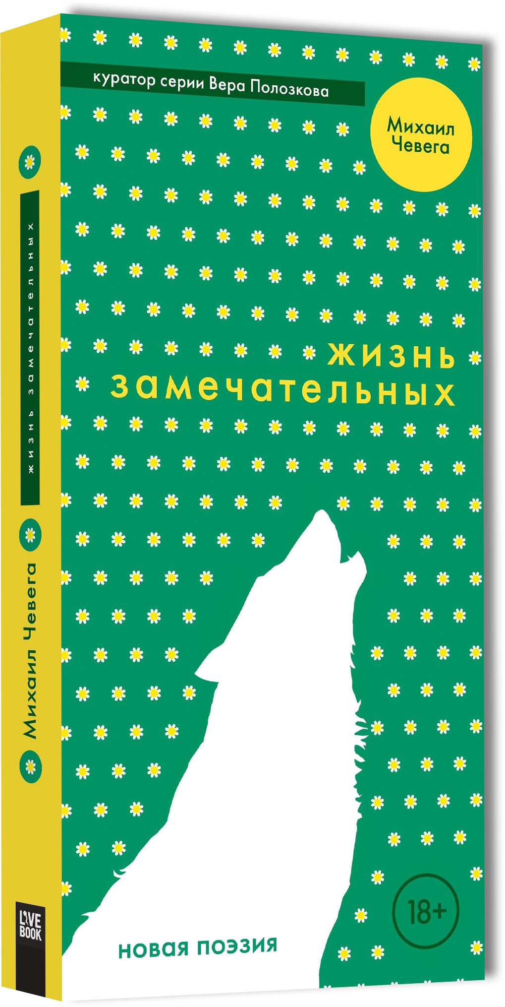 Жизнь замечательных | Чевега Михаил