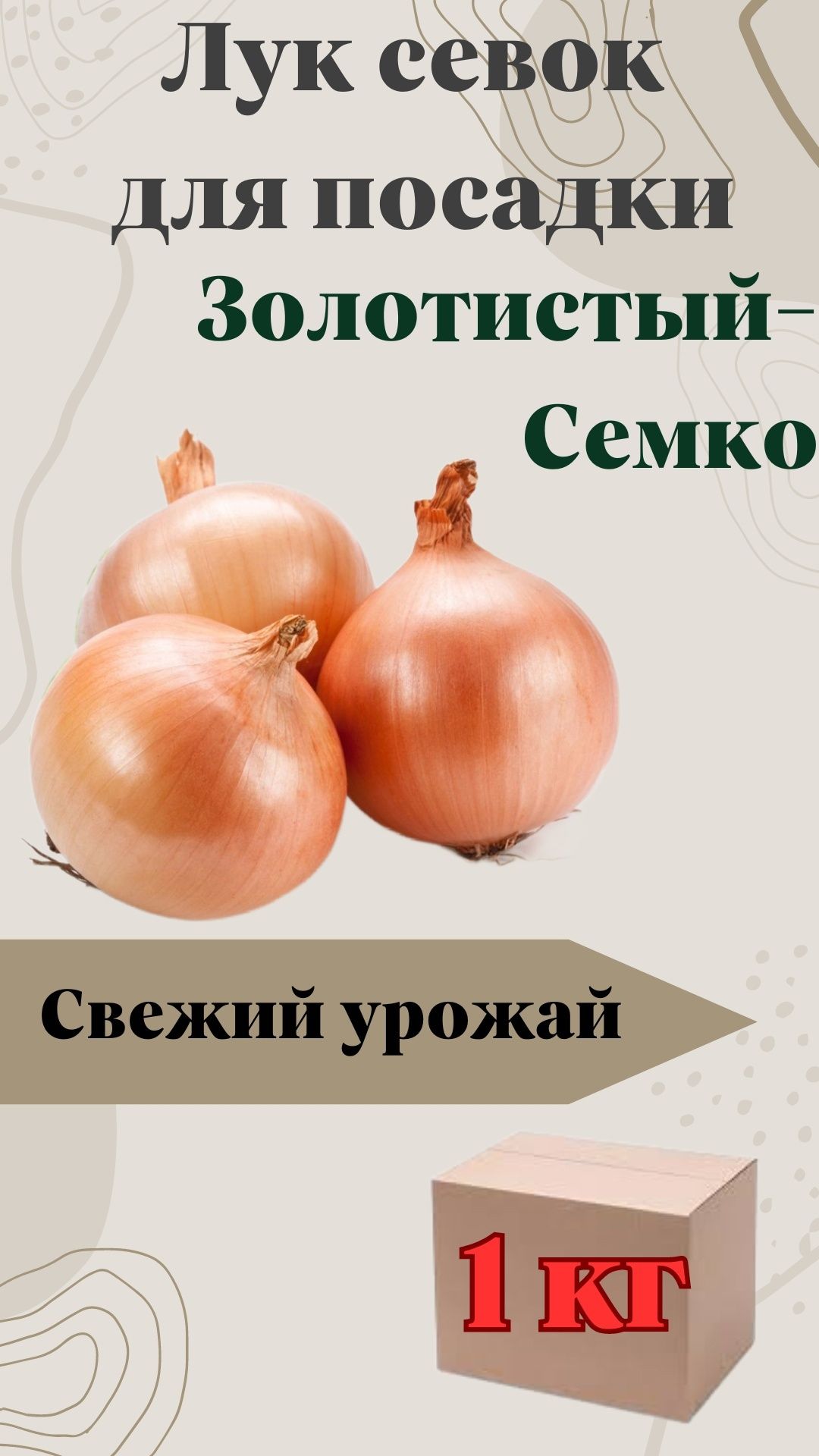Лук севок семко золотистый описание сорта отзывы. Лук севок семко золотистый описание сорта отзывы