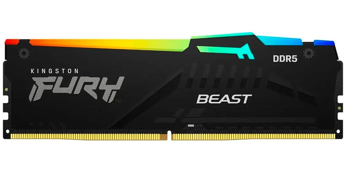 Fury beast black expo