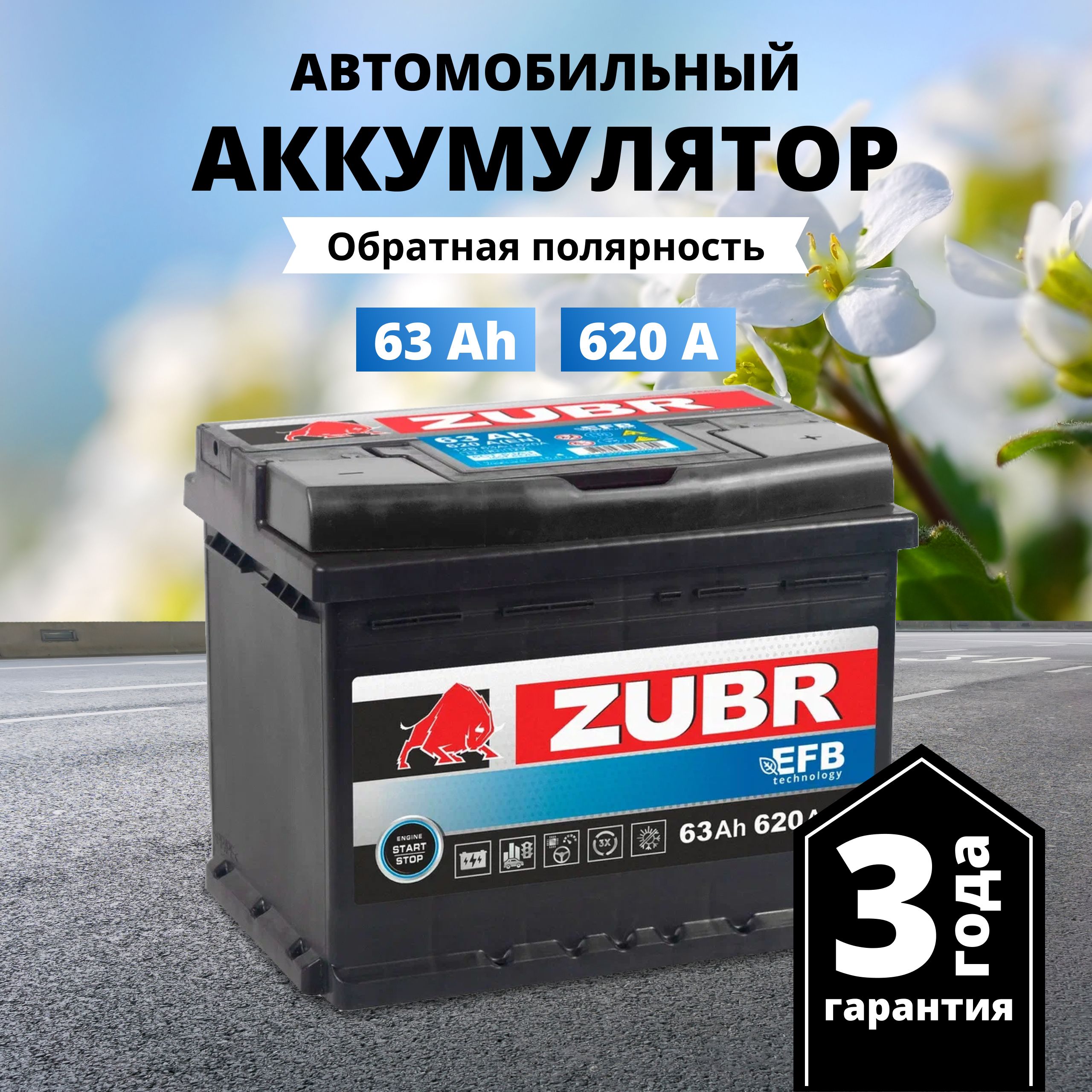 Аккумулятор автомобильный 12v 63 Ah ZUBR EFB 63 Ач 620 А обратная  полярность 242x175x190 стартерный акб для автомобиля, машины