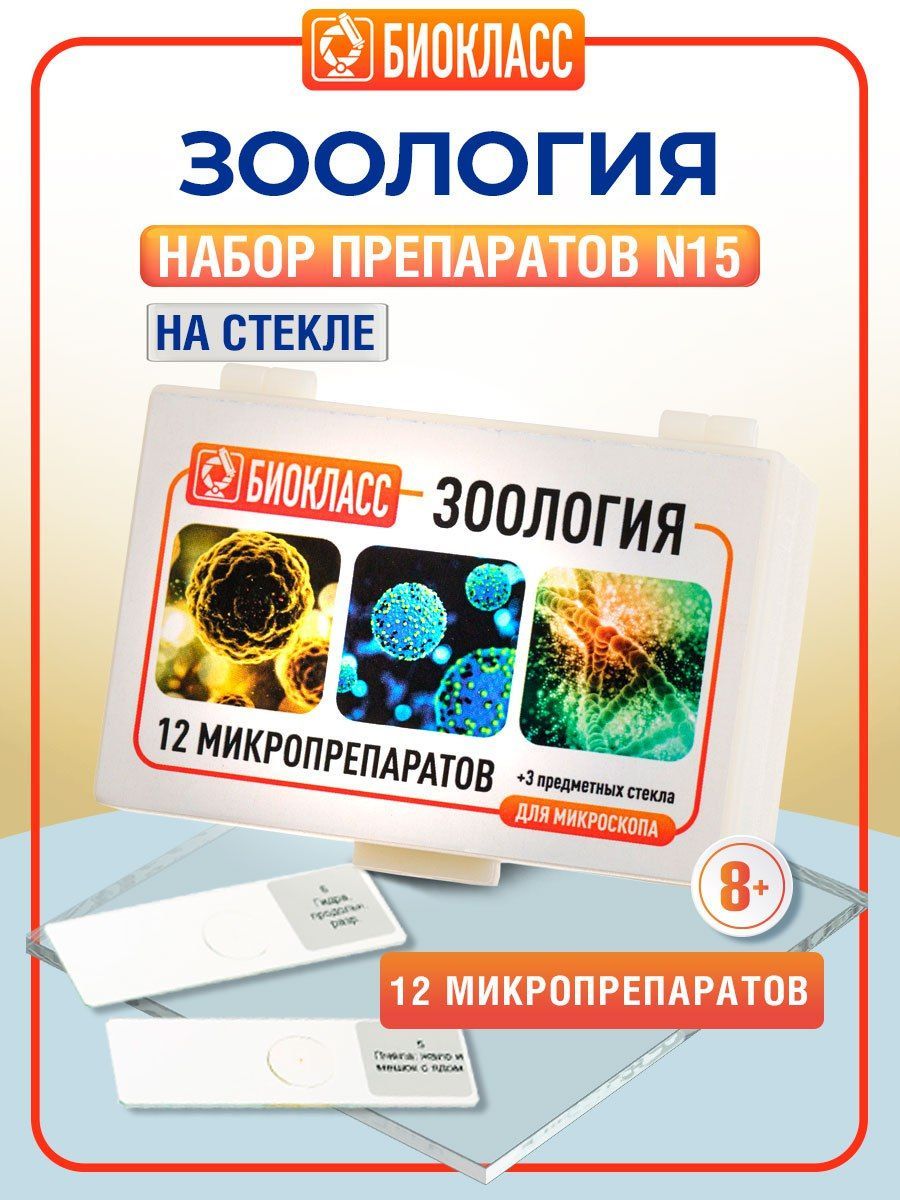 Препараты для микроскопа 12 образцов + 3 предметных и покровных стекла - Зоология Анатомия Биология - набор для опытов с микроскопом