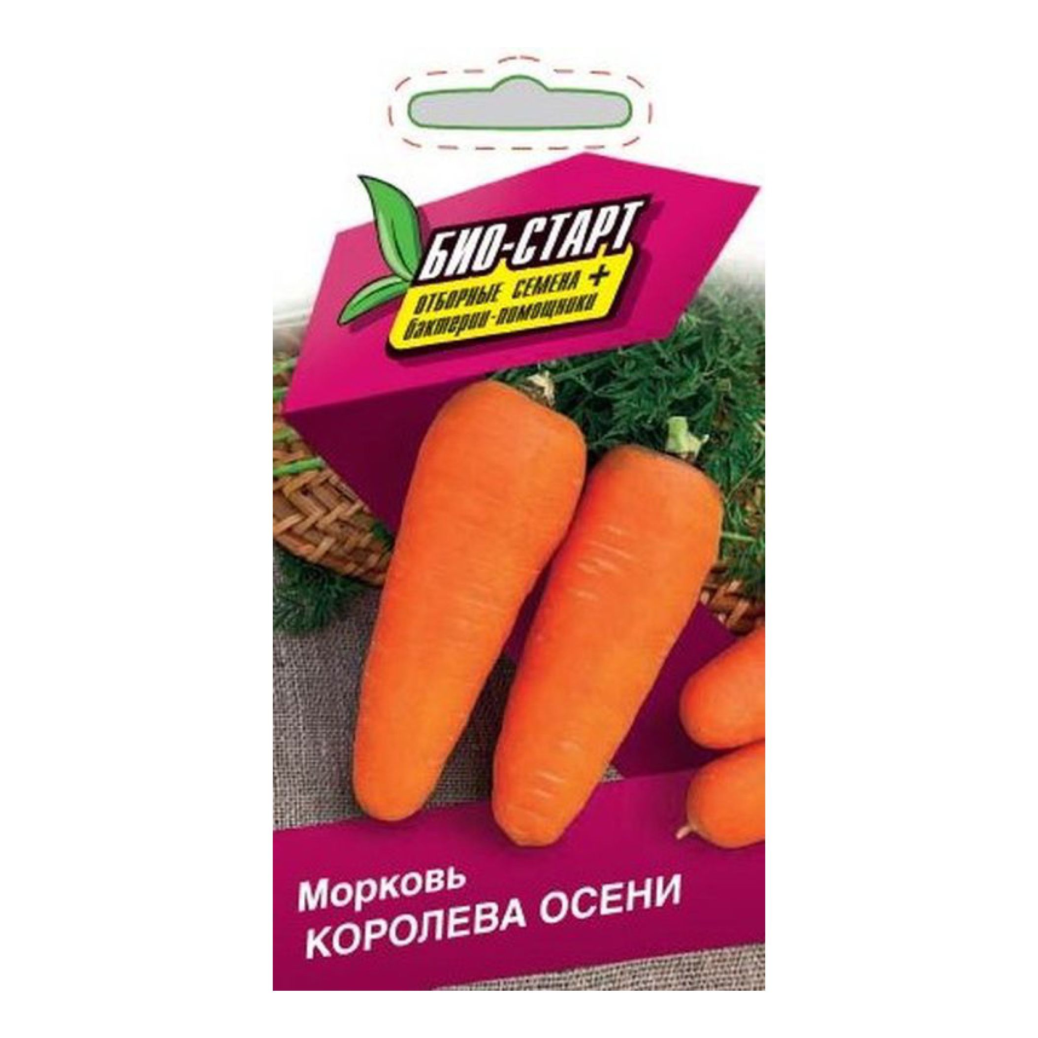 Королева Осени Морковь Фото Отзывы Описание