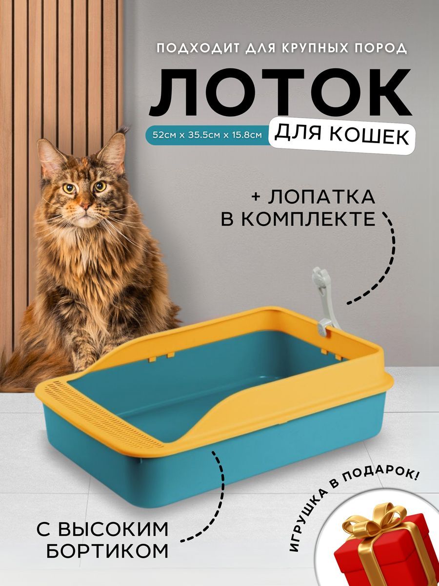 Лоток KRZ COMFORT с высокими бортиками для кошек, собак мелких пород,  грызунов + совок для уборки туалета - купить с доставкой по выгодным ценам  в интернет-магазине OZON (868517755)