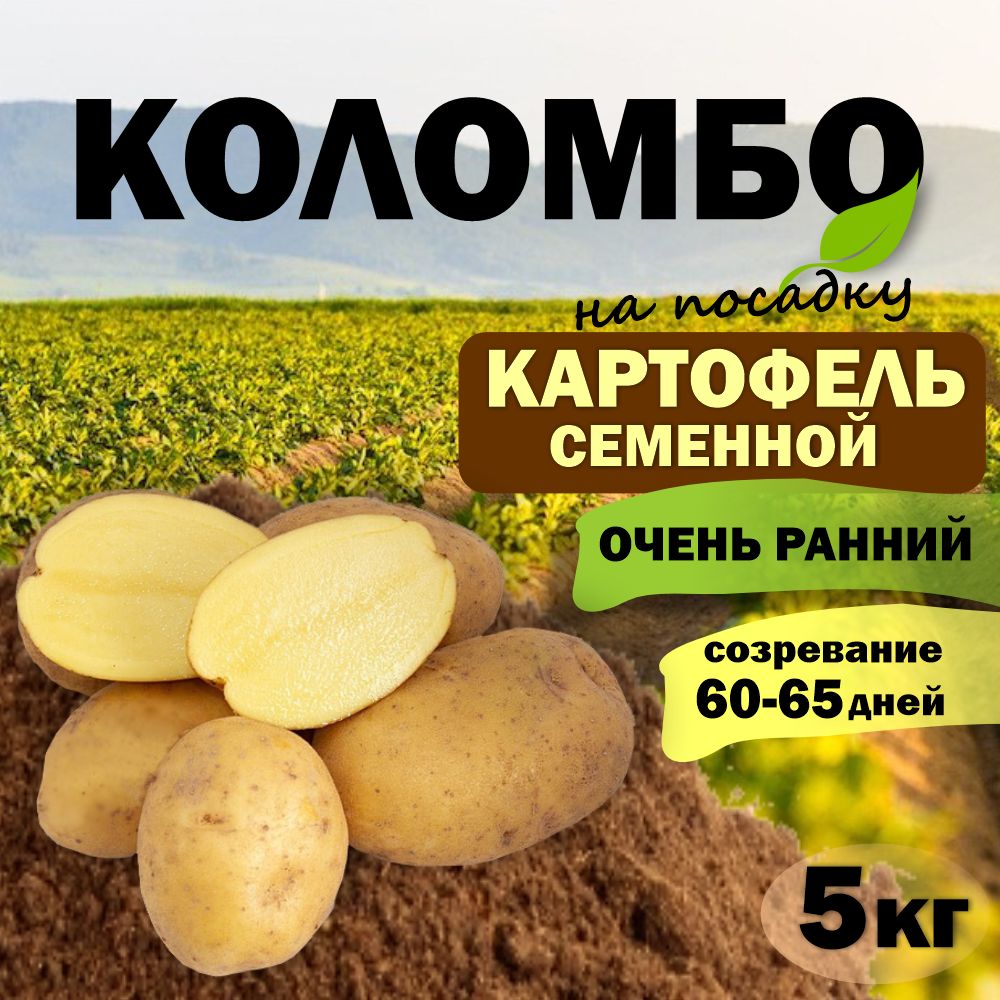 Картофель Коломбо Купить Семена В Москве