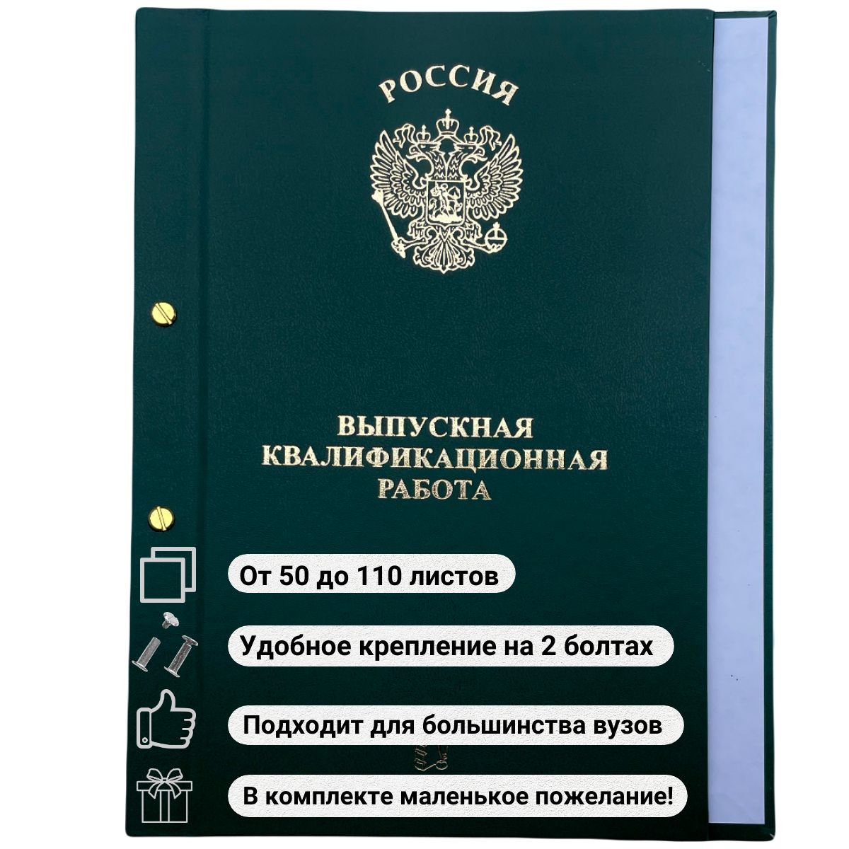 IQ Папка для диплома A4 (21 × 29.7 см), 1 шт. - купить с доставкой по  выгодным ценам в интернет-магазине OZON (506372775)