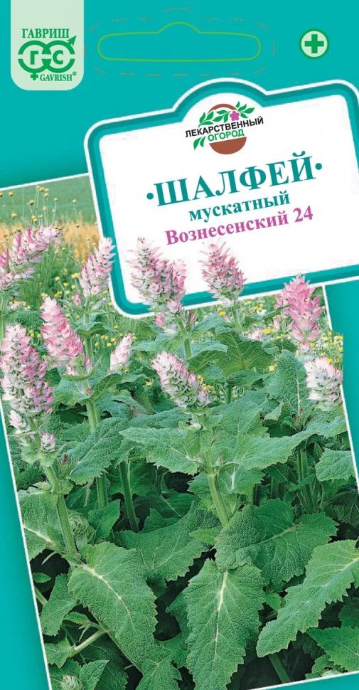 Шалфей мускатный вознесенский семена. Шалфей мускатный сорняк. Шалфей мускатный вознесенский 24 0,2гр. Шалфей мускатный вознесенский (гавриш) 1/800. Шалфей мускатный вознесенский семена.