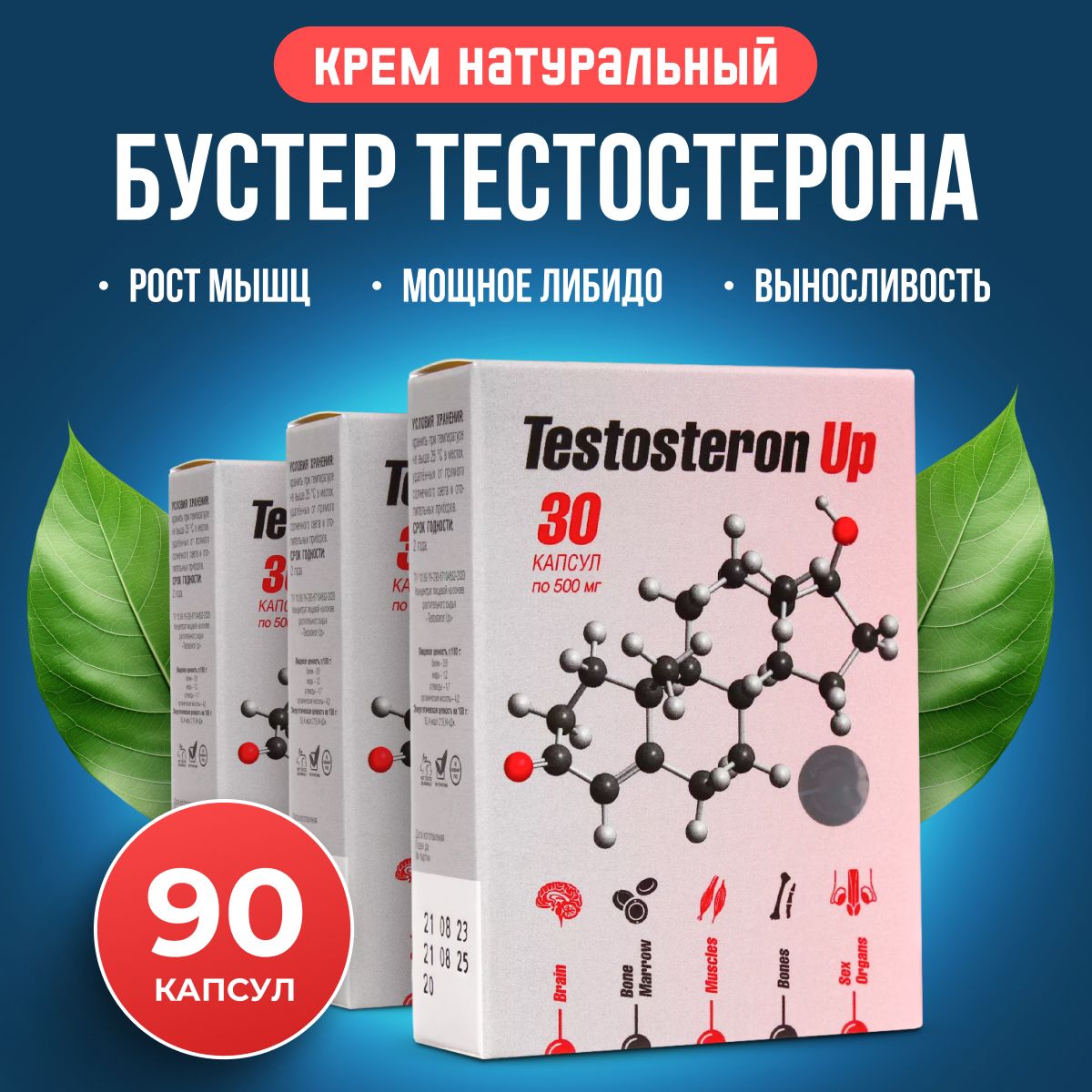 TestosteronUpБустертестостеронадлямужчин,натуральноесредстводляповышения,энергии,силыивыносливостиумужчинТестостеронАпСашера-Мед3шт.