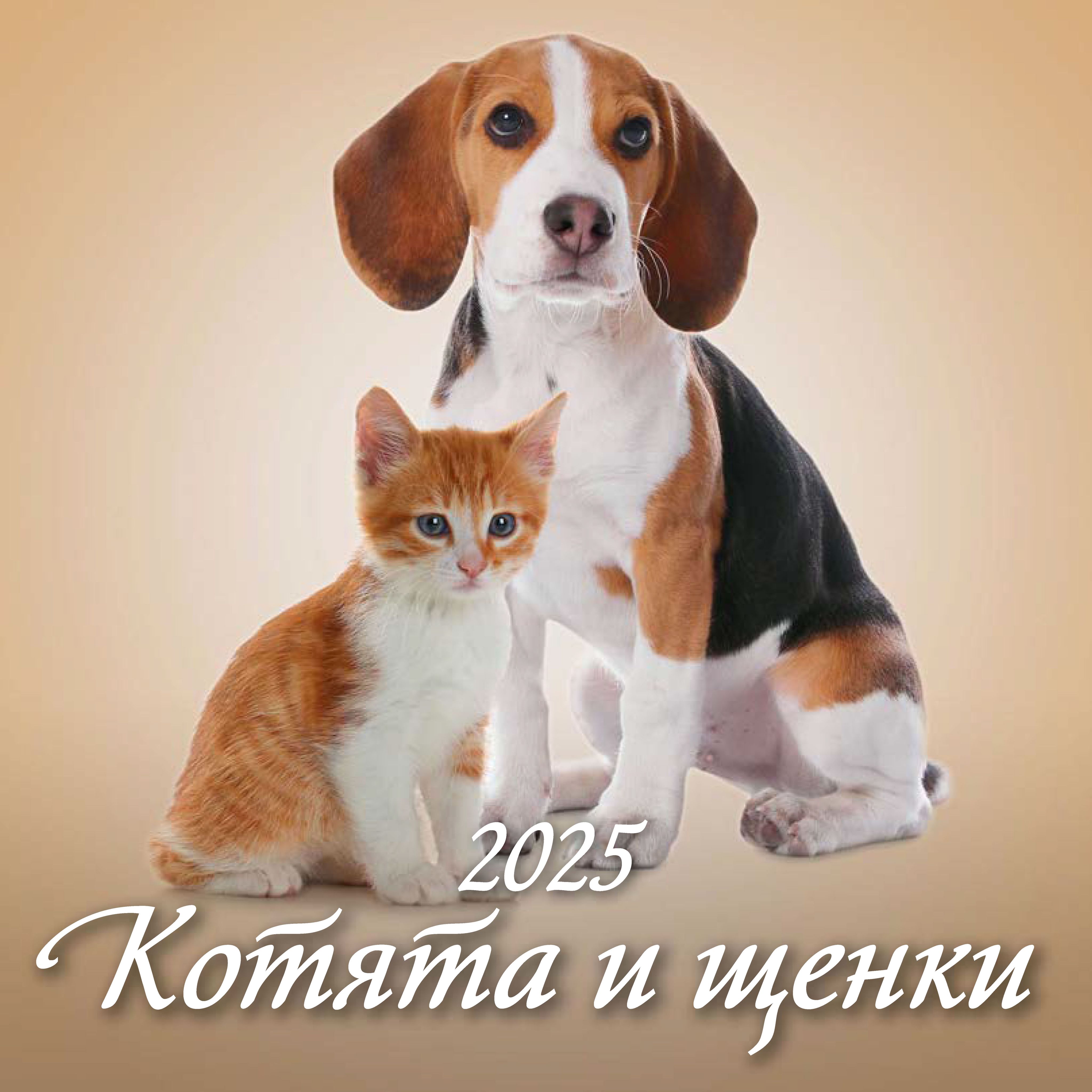 Календарь настенный перекидной "Котята и щенки" 285х285 6 листов на скрепке на 2025 год